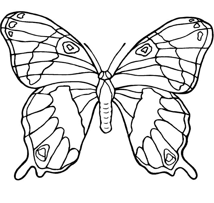 Butterfly With Wings Upholstered Coloring Pages - Butterflies 