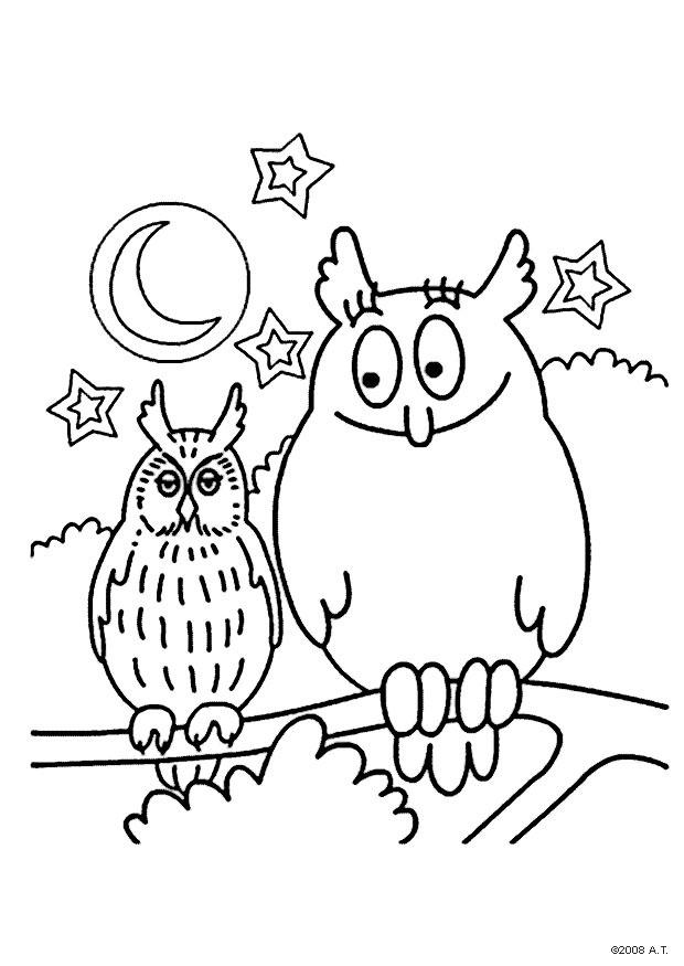 Coloring page Owls - img 9631.