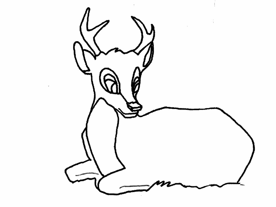 Kids Coloring Whitetail Deer Coloring Page Exploring Nature 