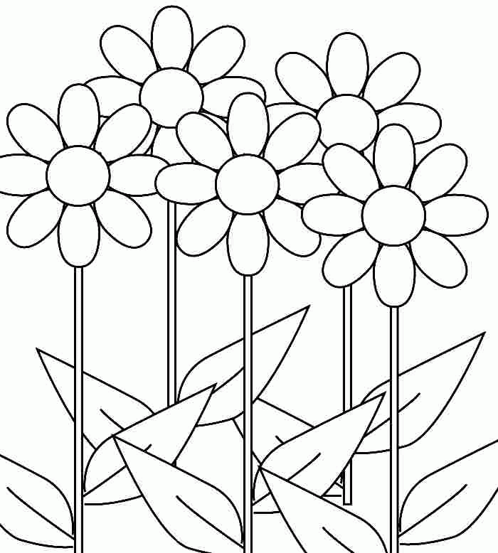 Daisy Flowers Colouring Sheets Printable Free For Boys & Girls 20078#