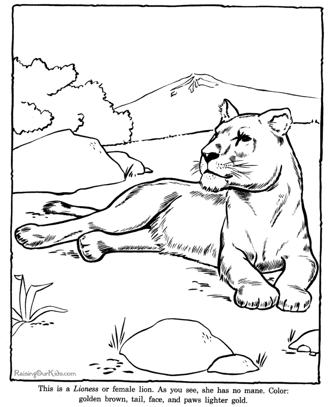 animal-pictures-to-print-for-free-coloring-home