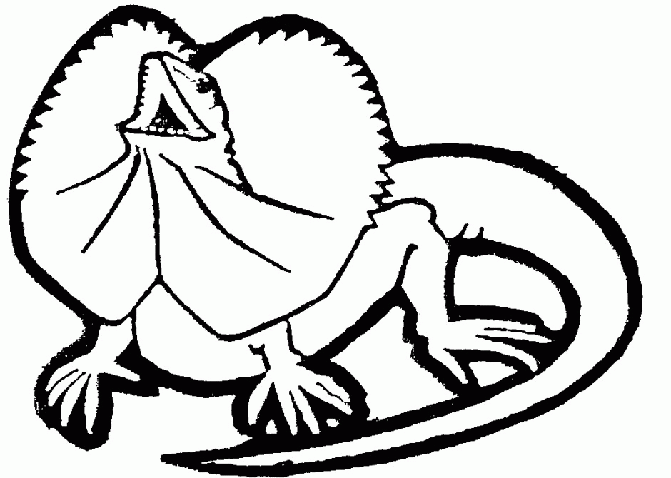 download-monitor-lizard-coloring-for-free-designlooter-2020