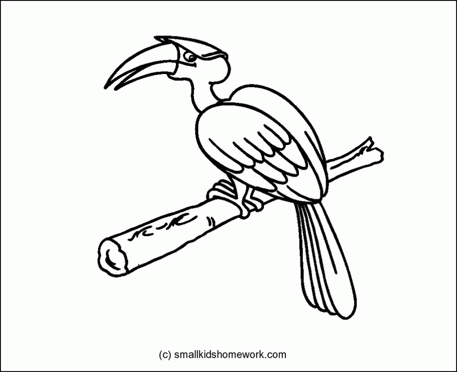 Pink Flamingo Coloring Pages Coloring Pages Amp Pictures IMAGIXS 