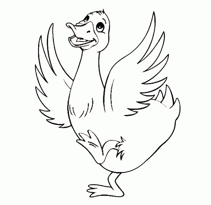 duck-coloring-pages-1.jpg