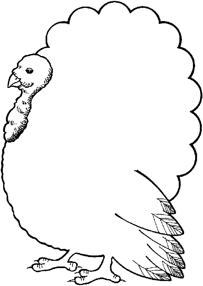 Turkey Template Printable Coloring Home