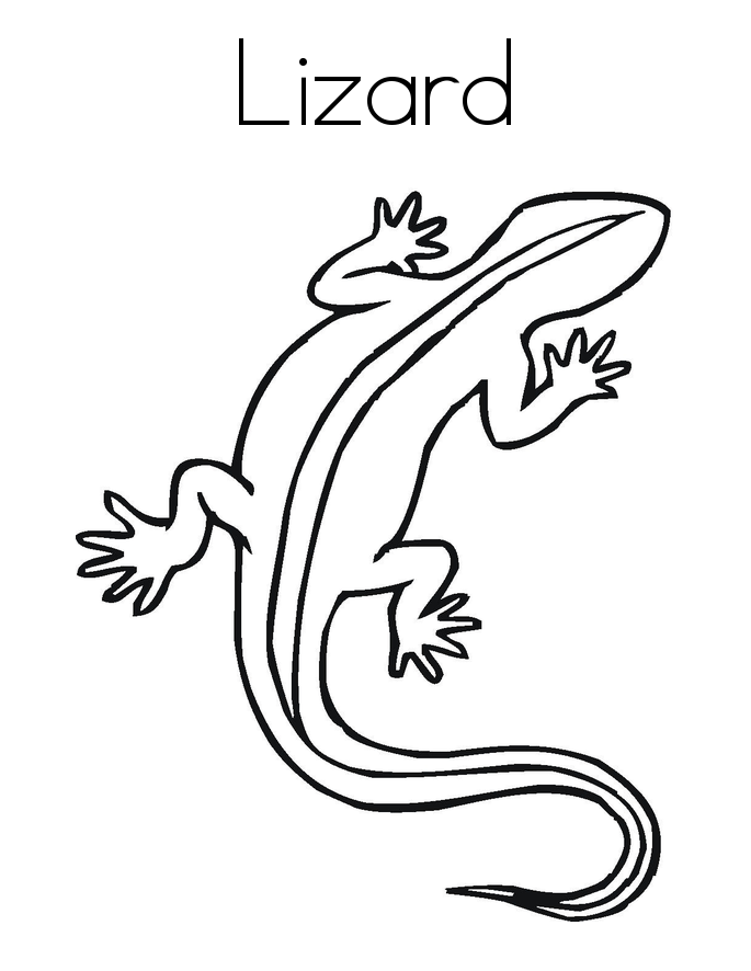 Lizard Coloring Pages To Print | Extra Coloring Page