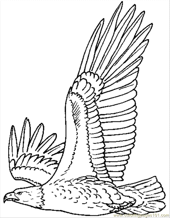 Eagle Coloring Page - Coloring Home