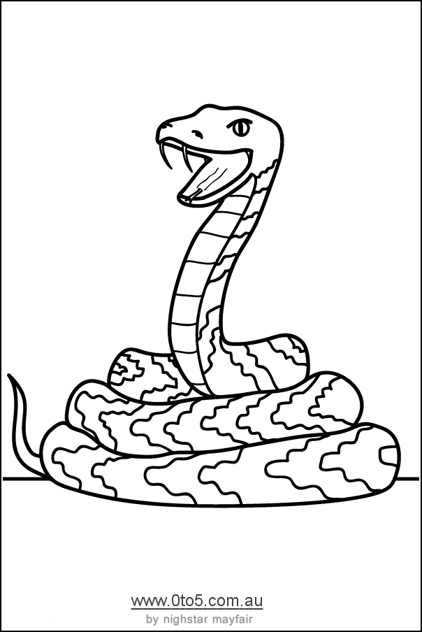 Printable Snake Pictures Animal Coloring Pages Kids