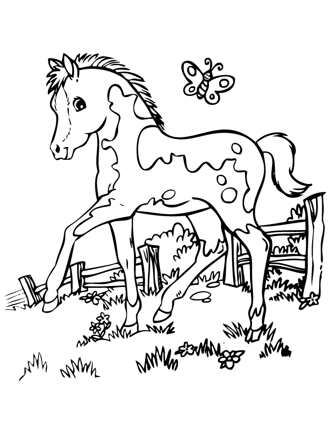 pretty horse coloring page printable pages