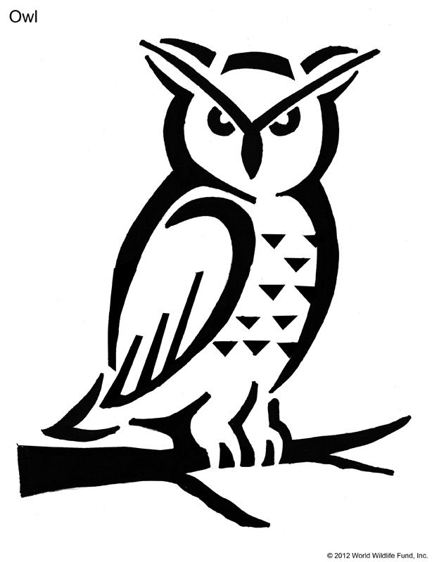 owl-stencil-printable-coloring-home