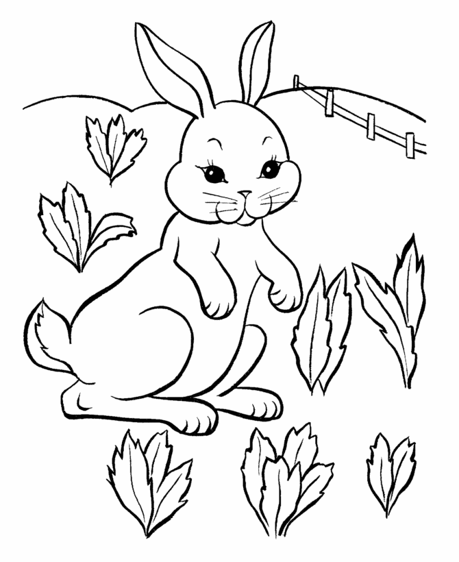 Coloring Pages Of Easter Bunny | Best Coloring Pages