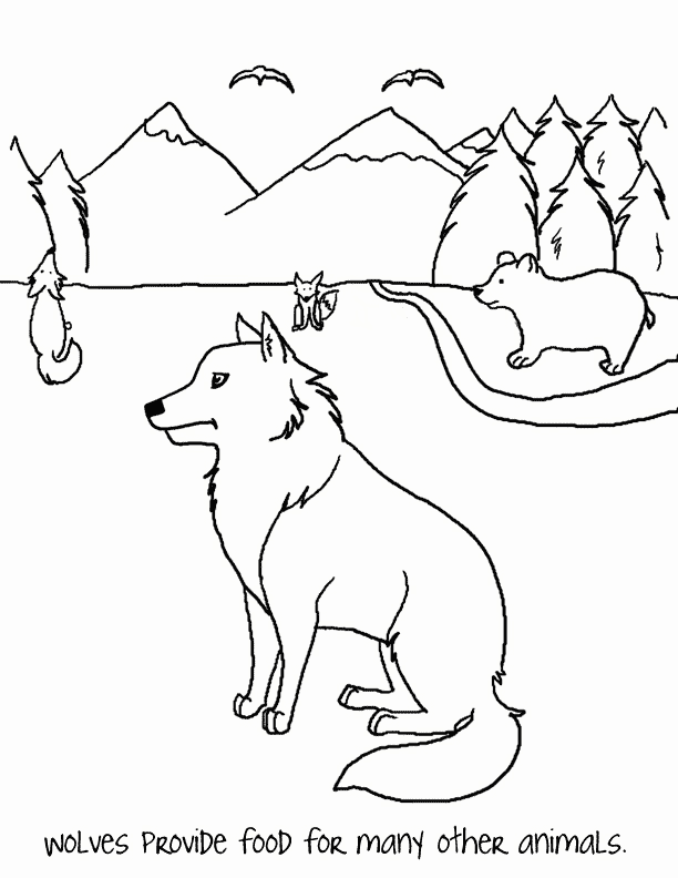 grasslands of the world coloring page exploring nature educational 
