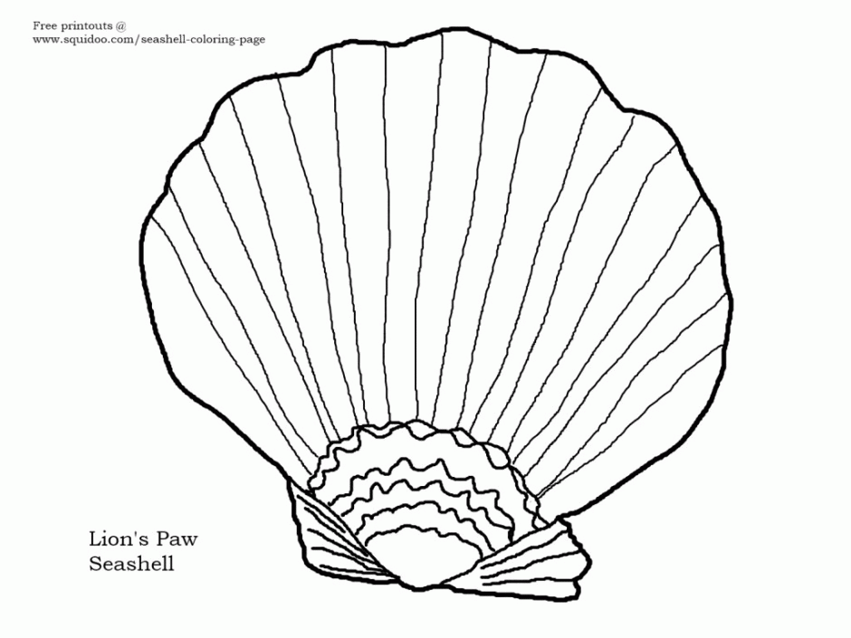 Cowry Seashells And A Free Printable Coloring Page Seashells By 