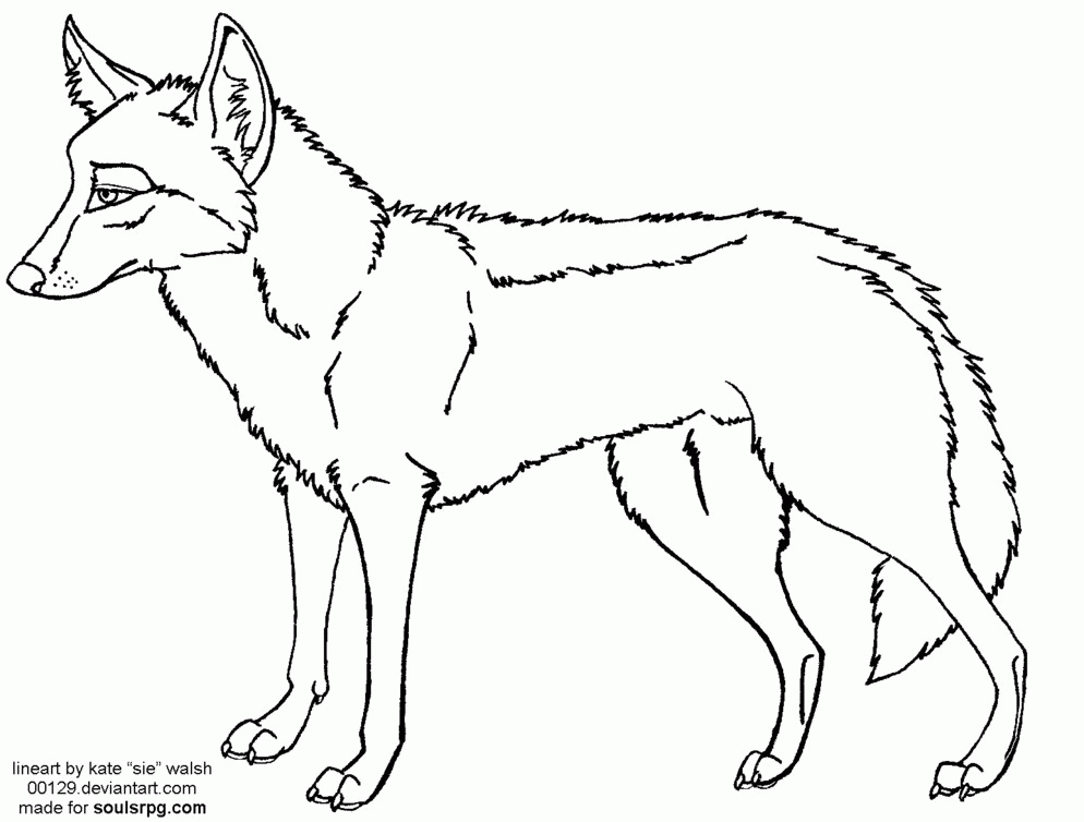 free wolf hybrid lineart by 00129 on deviantART
