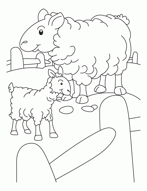 Boy And Sheep Coloring Page