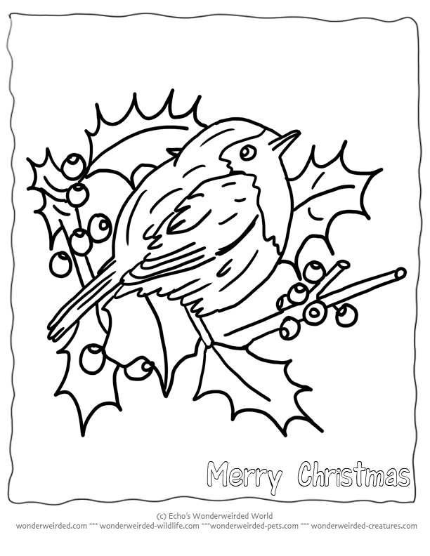 christmas bird Colouring Pages (page 2)