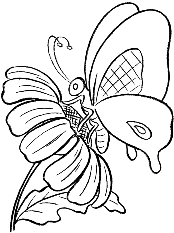 Butterfly Coloring Pages Kids - Coloring Home