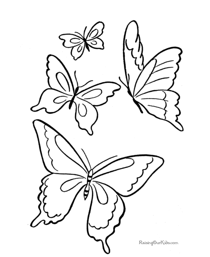 k butterfly Colouring Pages (page 3)