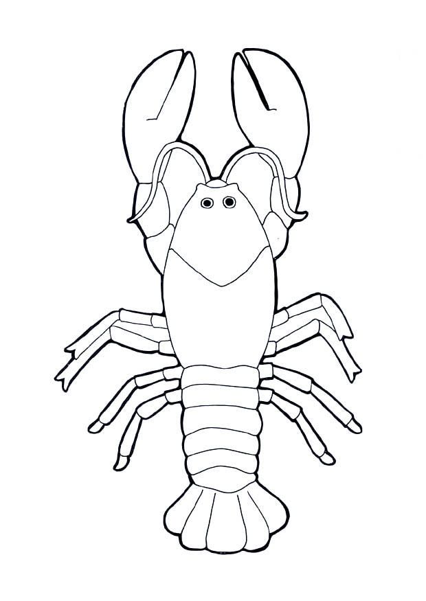 Coloring page lobster - img 8985.