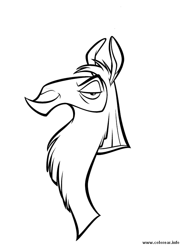 Llama Coloring Pages - Coloring Home
