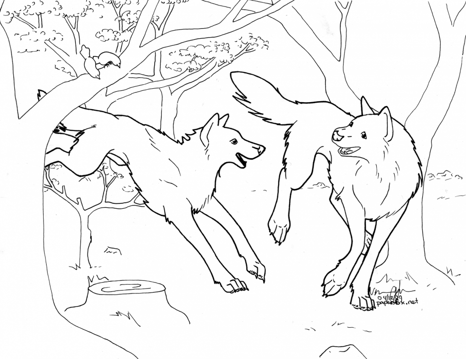Anime Wolf Coloring Pages Printable KidsColoringSource 196614 