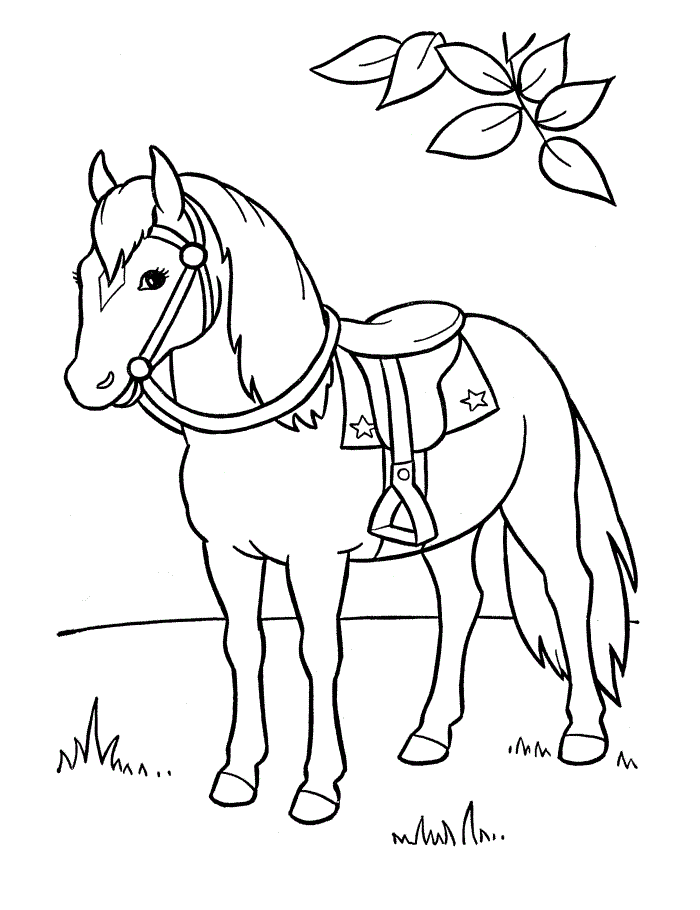 horse body Colouring Pages