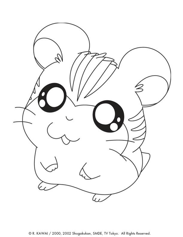 can use cute animal coloring pages
