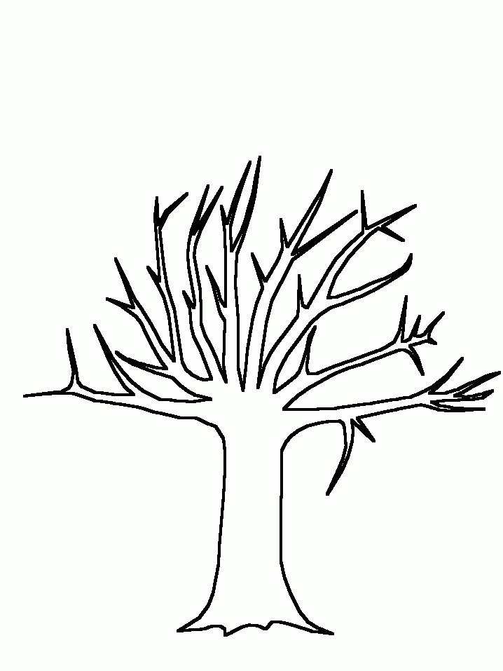 printable-tree-template-coloring-home