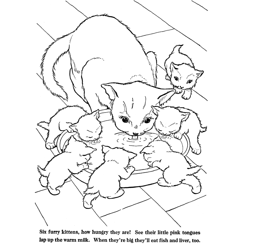Baby Kitten Coloring Pages - Coloring Home