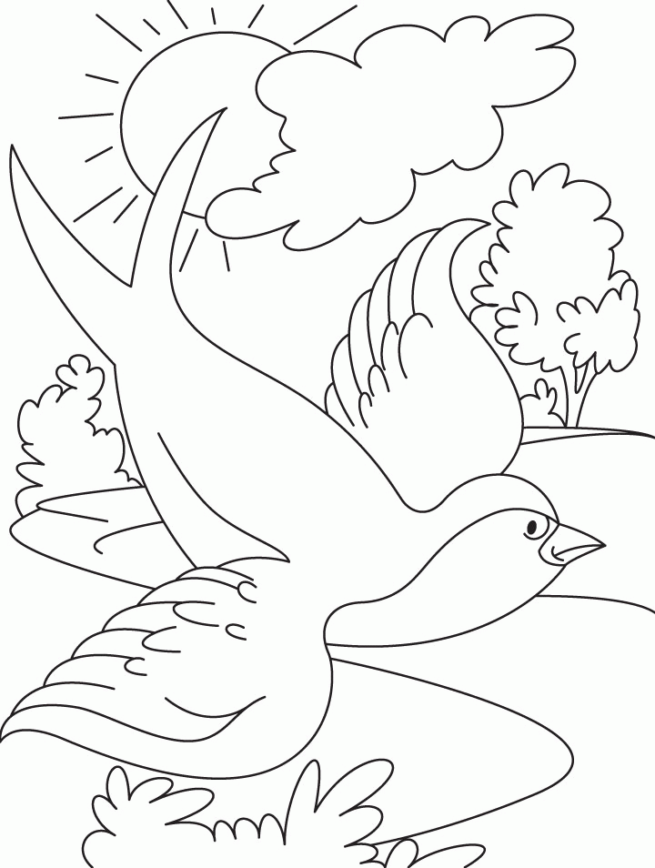 Flying Bird Coloring Pages - Coloring Home