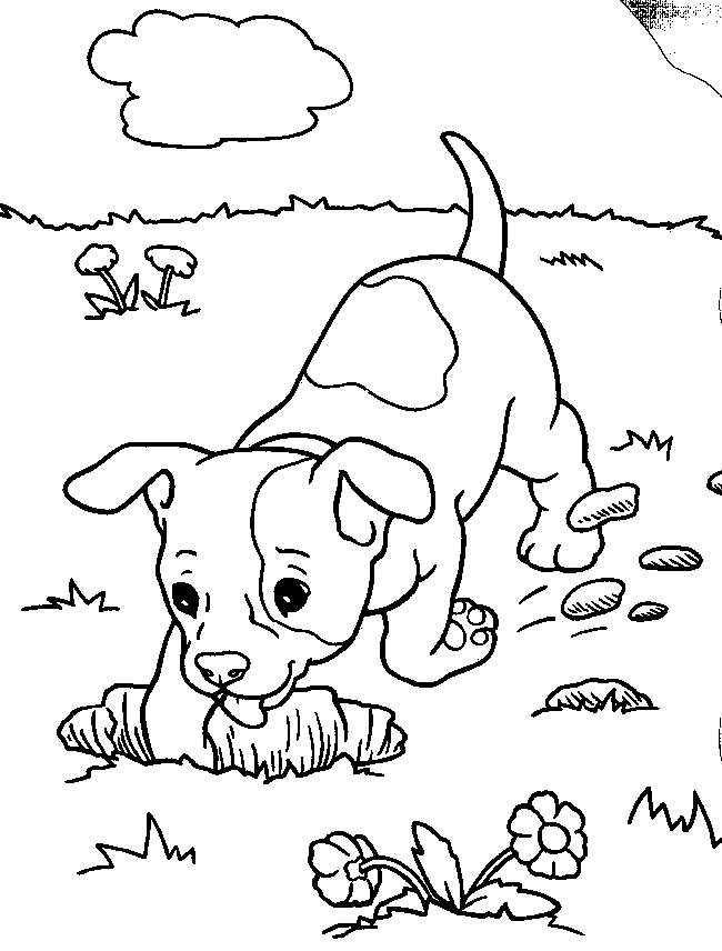 Funny Dog Coloring Pages for Kids - Animal Coloring Pages of The 