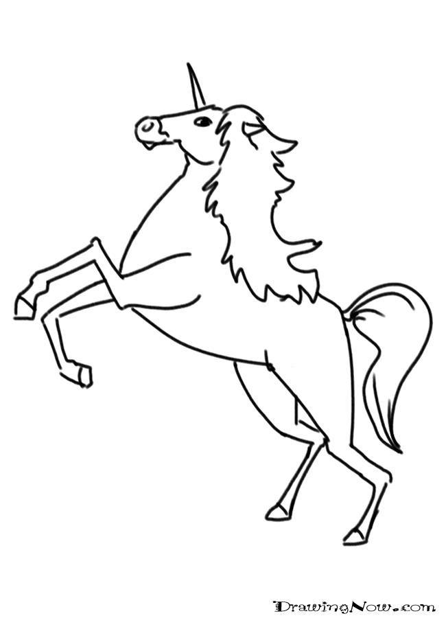 how draw unicorn print drawing instructions