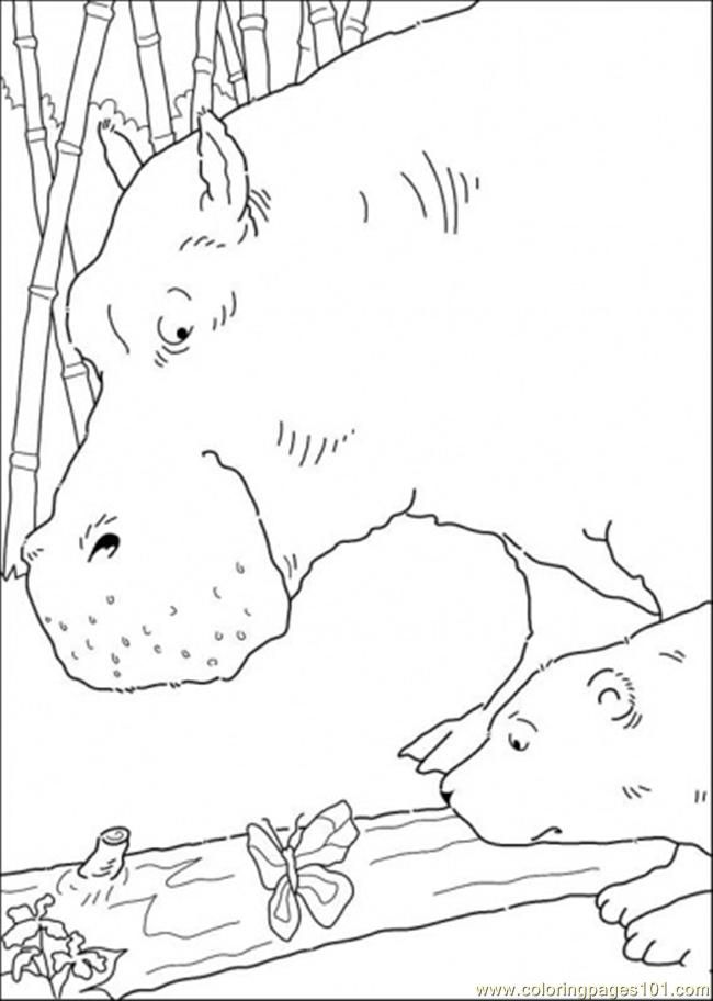 Coloring Pages Hippo Polar Bear And Butterfly (Cartoons > Little 
