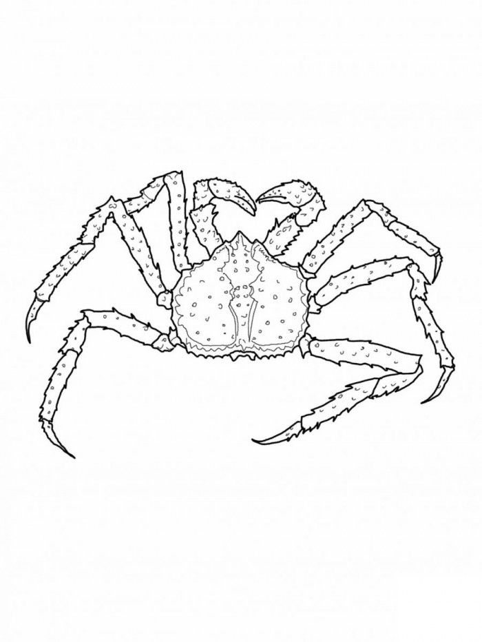Sebastian Crab Coloring Pages