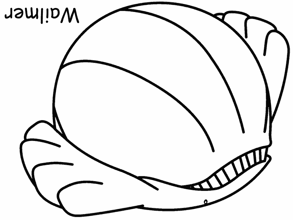 pokemon wailmer Colouring Pages (page 2)
