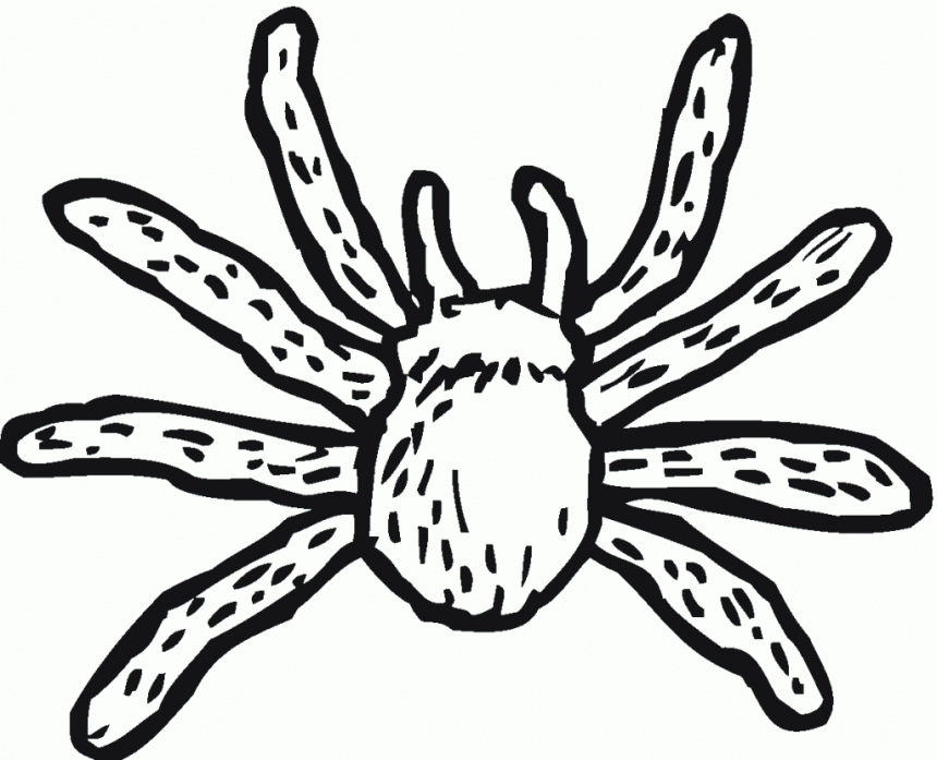 Scary Spider Coloring Pages - Coloring Home