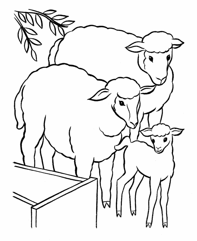 Sheep Coloring Page And Free Printable For Kids Book - quoteko.com