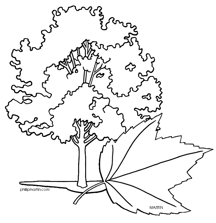 Free United States Clip Art by Phillip Martin, State Tree of Rhode 