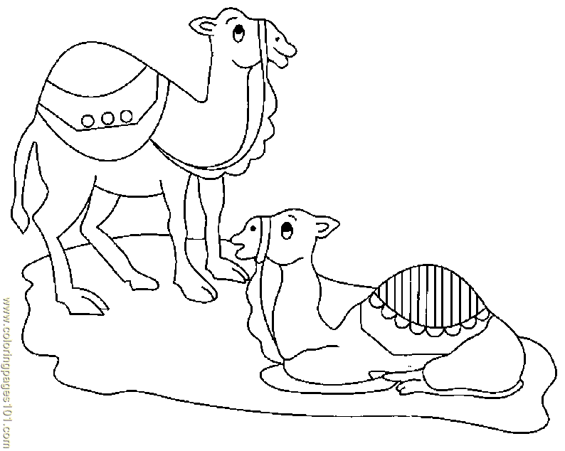 Coloring Pages Camel (2) (Mammals > Camel) - free printable 