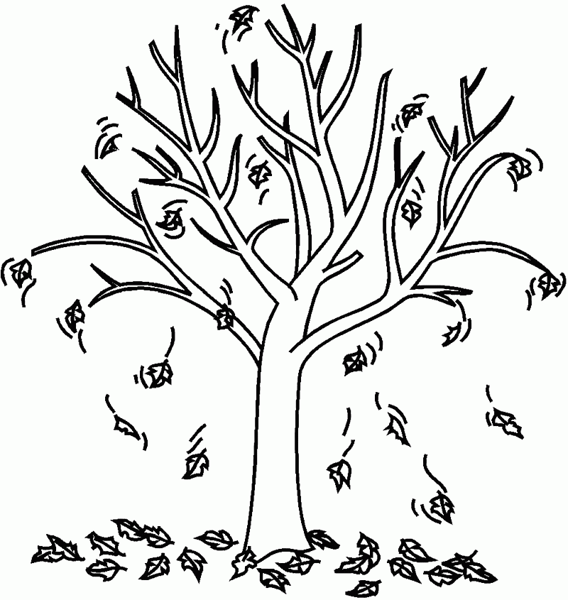 Autumn-Fall-Tree-Coloring-Page.jpg - Coloring Home