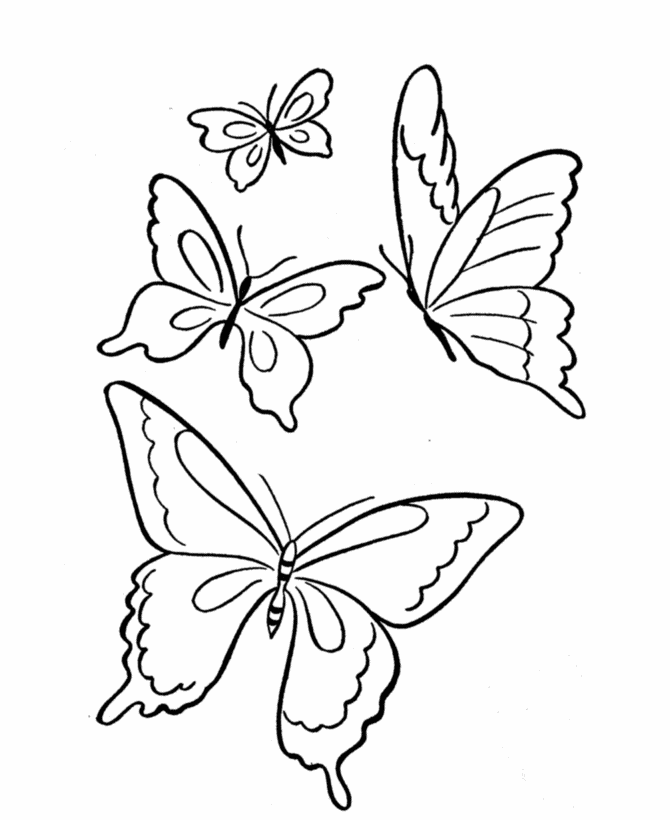 of spring butterflies to color in the coloring pages