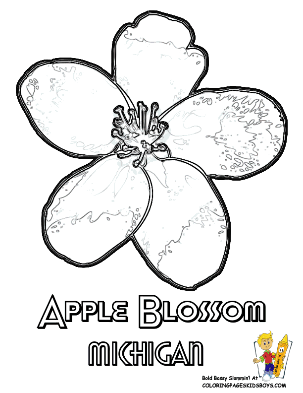 Apple Blossom Coloring Page - Coloring Home