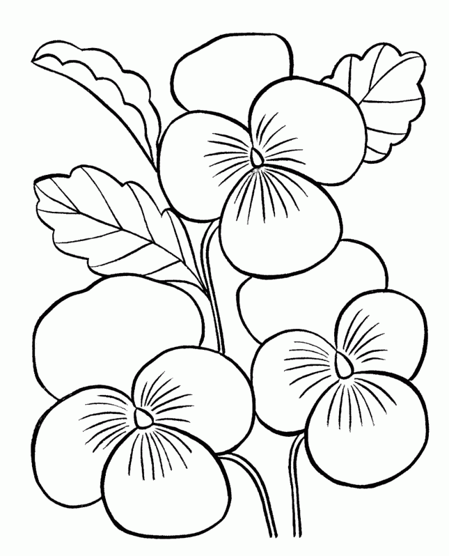 Free Printable Coloring Pages For Adults Only Flowers