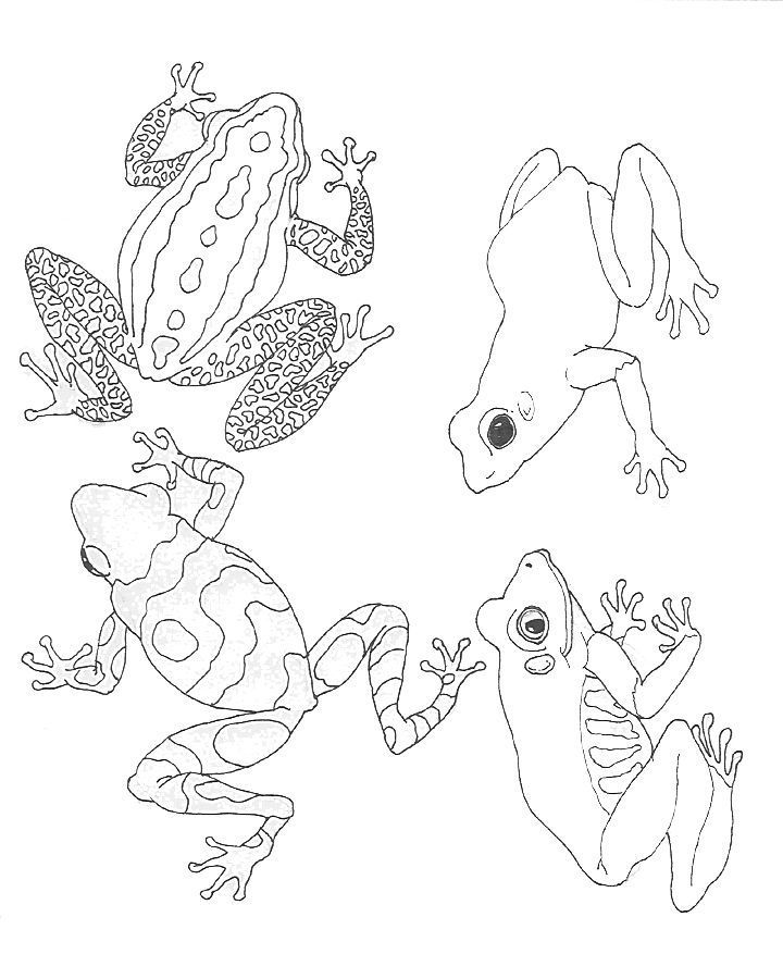 jan brett coloring pages for the umbrella - photo #39
