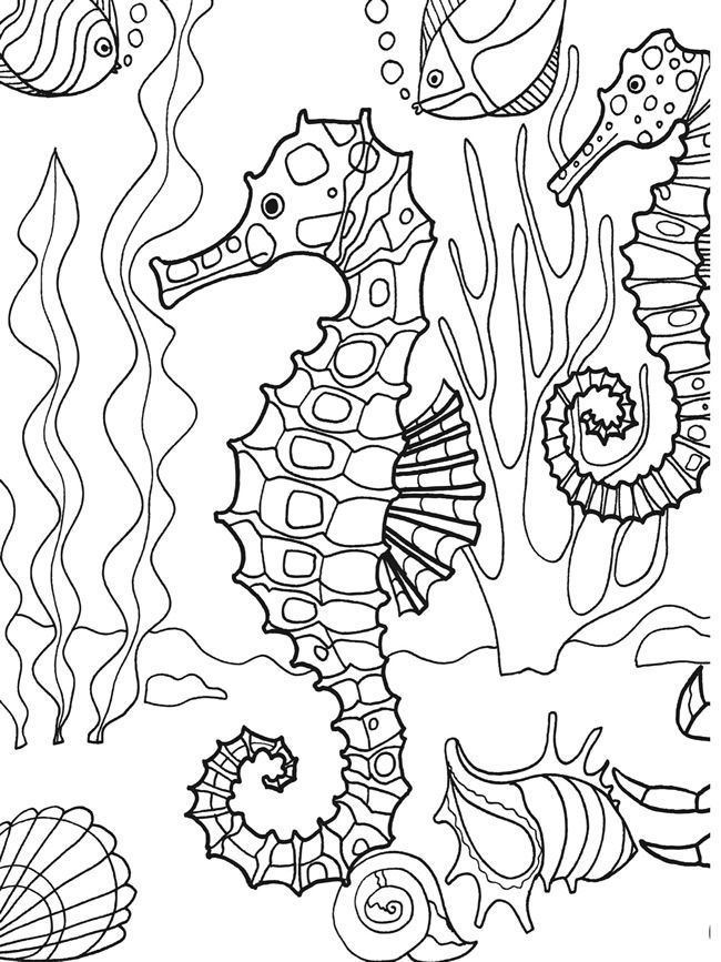 Coloring Pages Dover Publications | Under the Sea Coloring Pages | Pi…