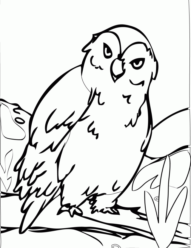 Page 469 Download Coloring Pages For Kids Coloringfokids 120146 
