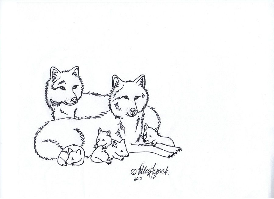 Alpha's Cubs -uncolored- by xWolfPackLeaderx on deviantART