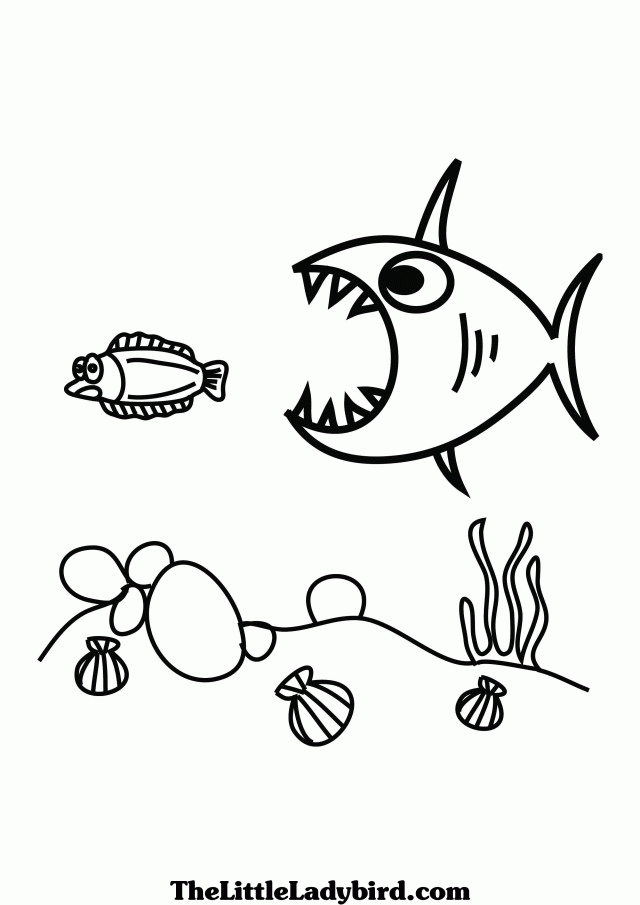 Cute Fish Coloring Pages Home Page Big Small Christmas