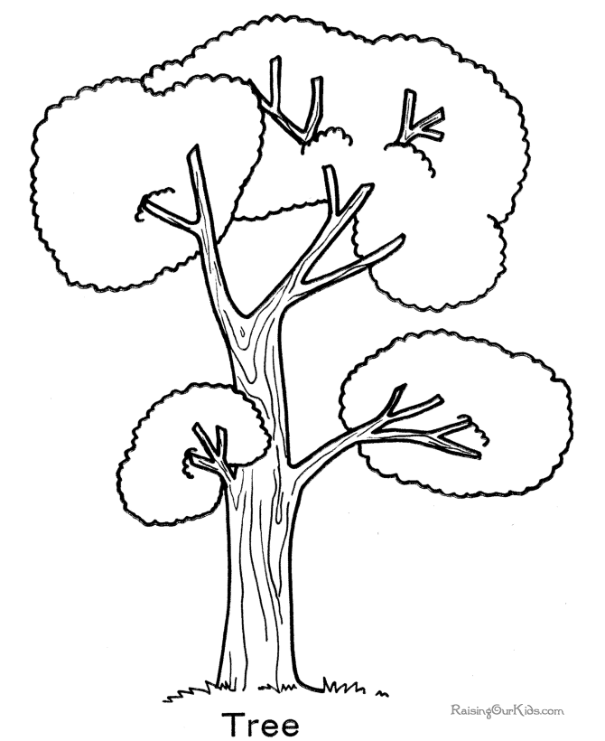 printable-coloring-pages-trees-coloring-home