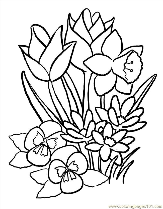 Coloring Pages Springblooms Big (Natural World > Flowers) - free 